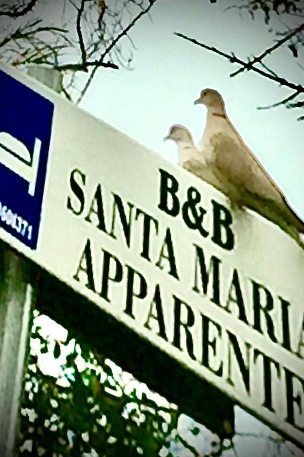 Monolocali B&B Santa Maria Apparente Civitanova Marche Exteriér fotografie